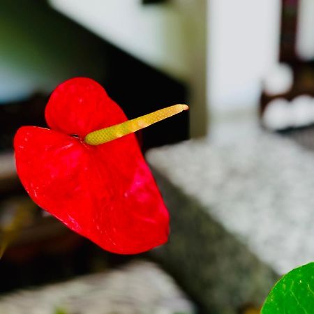 Siri's Residency Apartment Habaraduwa Luaran gambar
