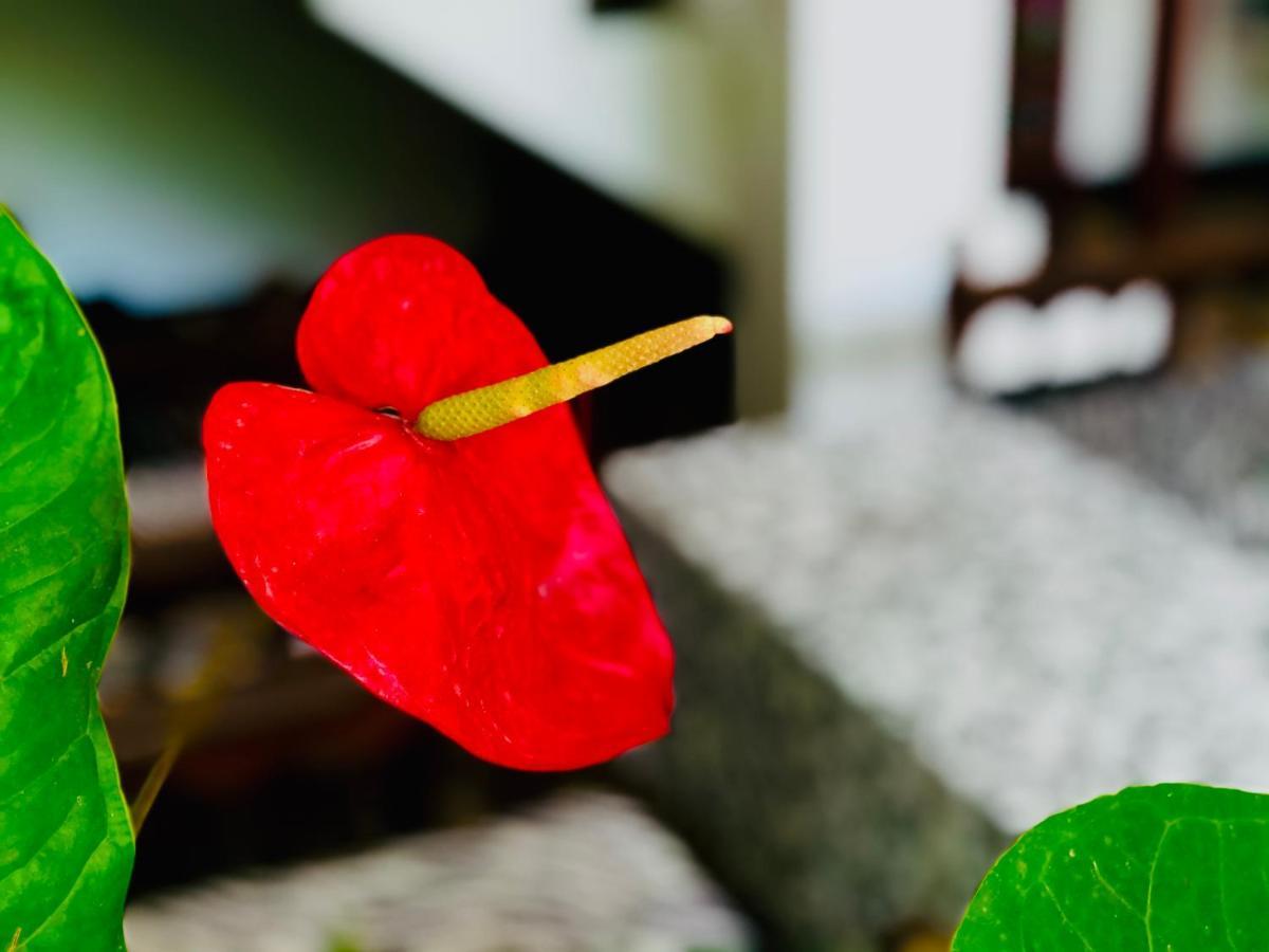 Siri's Residency Apartment Habaraduwa Luaran gambar
