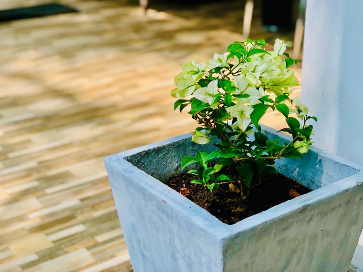 Siri's Residency Apartment Habaraduwa Luaran gambar